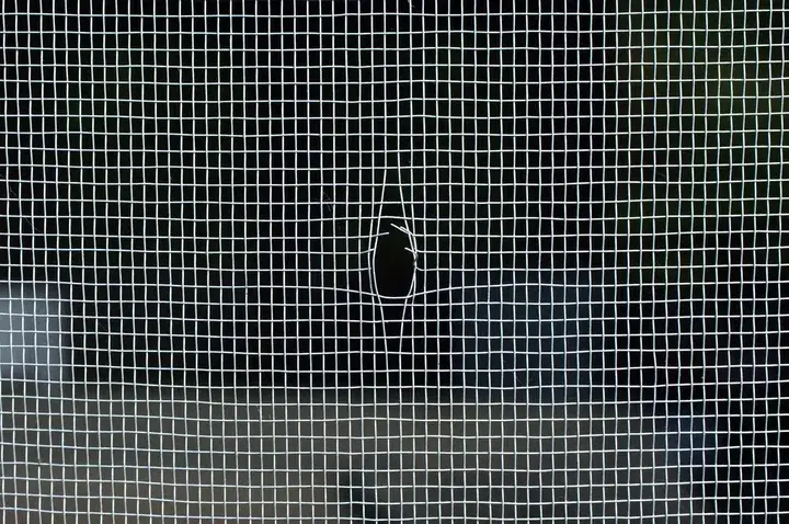 Damaged window screen mesh with tear in Springfield MO home