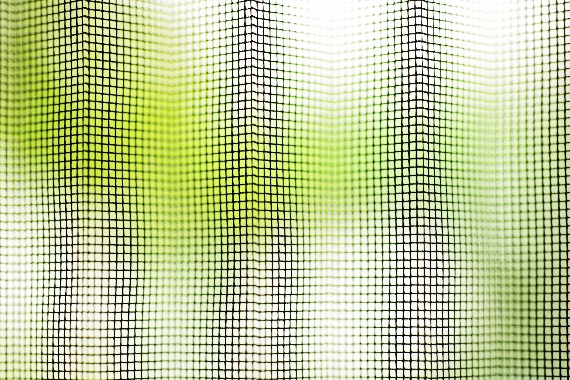 Window Screen Replacement in Springfield, MO