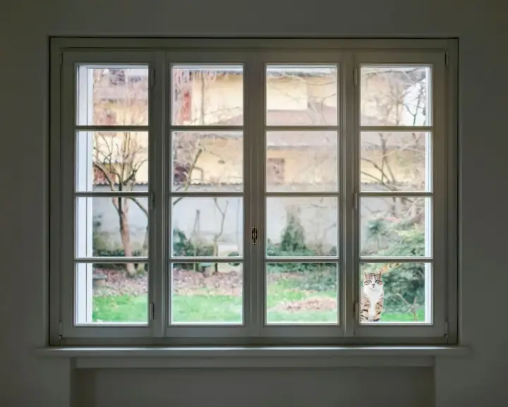 White frame window used for screen replacement planning